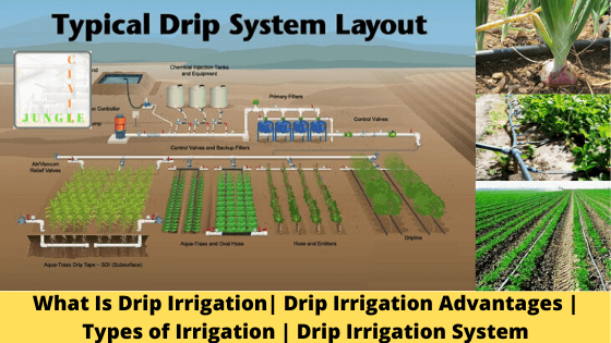 What Is Drip Irrigation| Drip Irrigation Advantages | Types of Irrigation | Drip Irrigation System