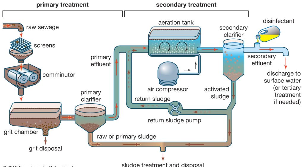 treatment-sewage-sludge-process