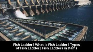 Fish Ladder | What Is Fish Ladder | Types of Fish Ladder | Fish Ladders in Dams