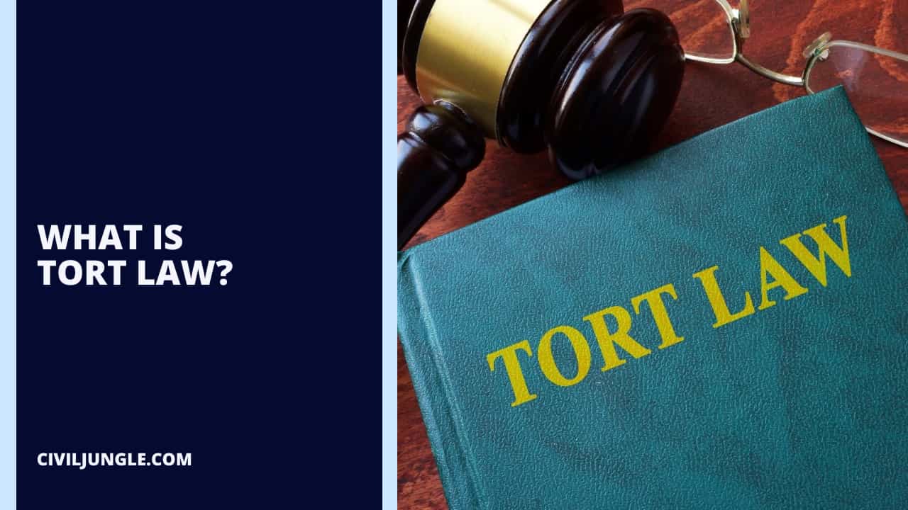 What Is Tort Law?
