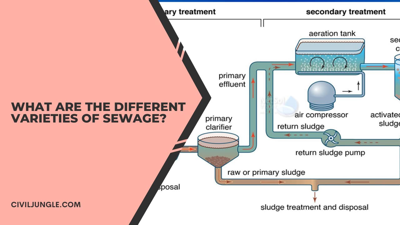 What Are the Different Varieties of Sewage?