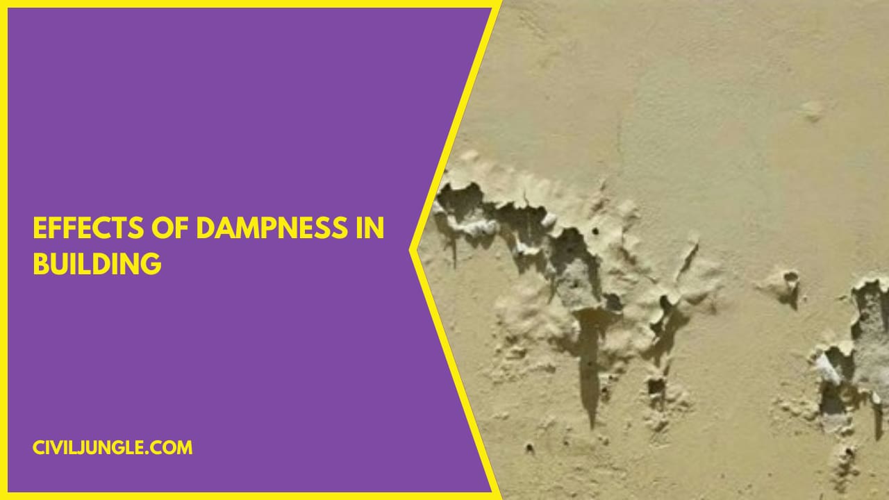 Effects of Dampness in Building