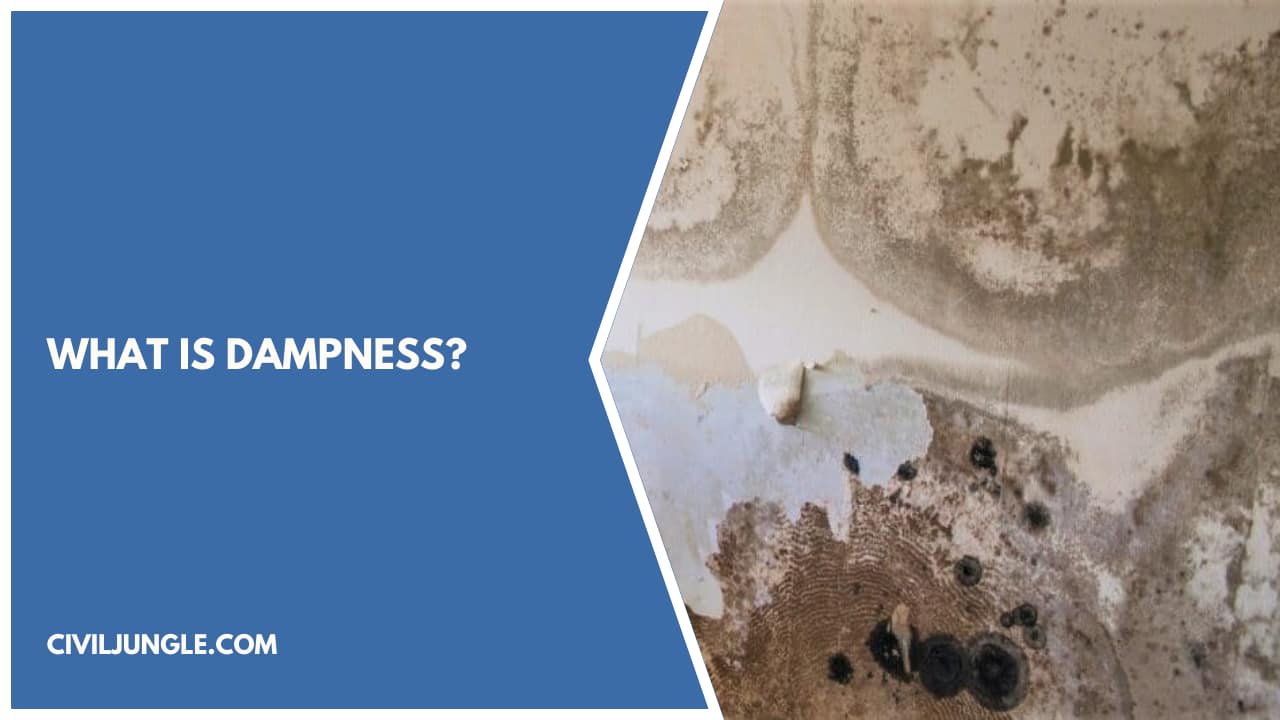 What Is Dampness
