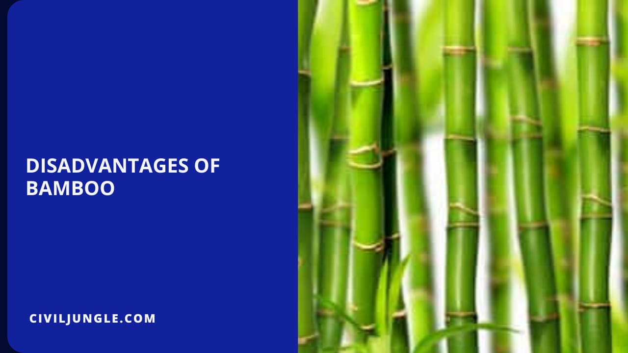 Disadvantages of Bamboo