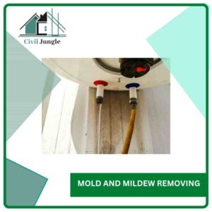 Mold and Mildew Removing