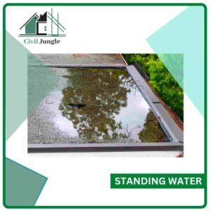 Standing Water
