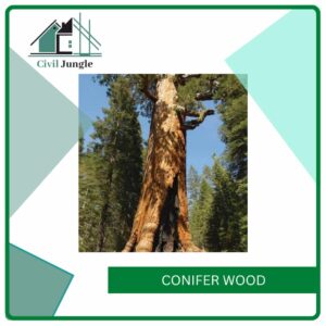 Conifer Wood