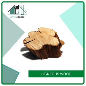 Ligneous Wood