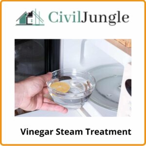 Vinegar Steam Treatment