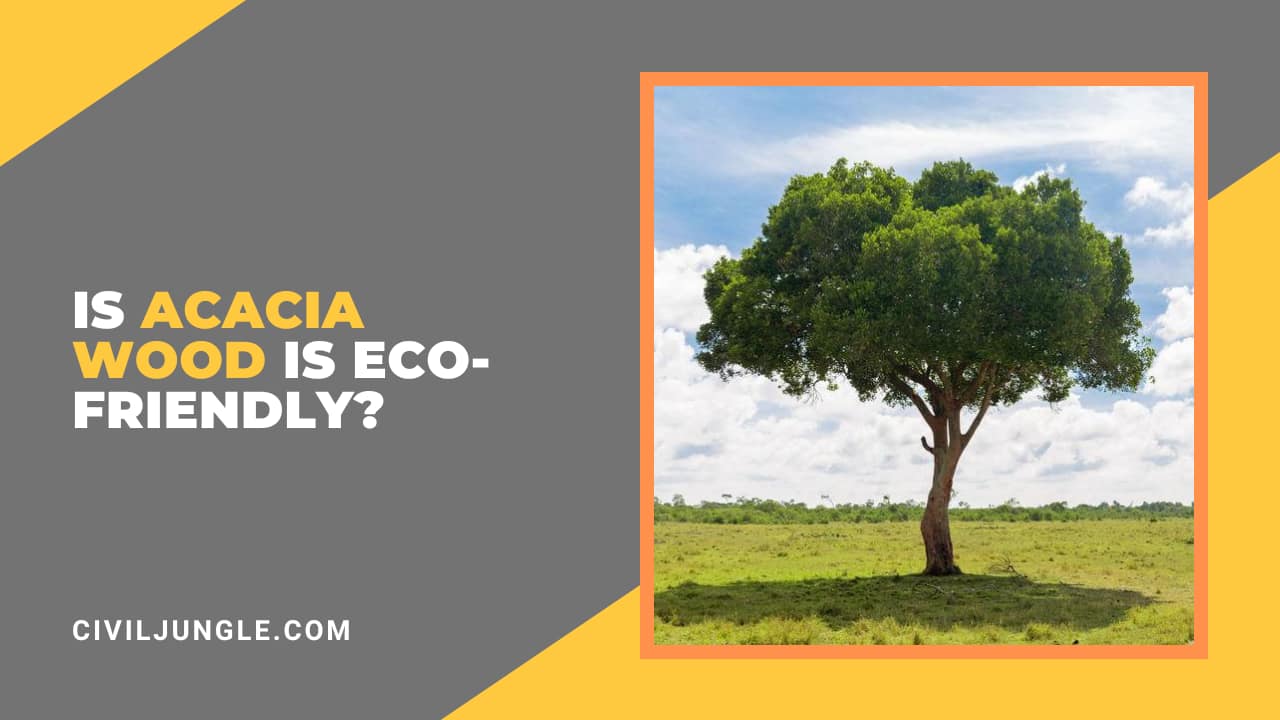 Is Acacia Wood Is Eco-Friendly?