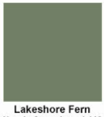 Lakeshore Fern