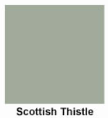 Scottish Thistle
