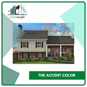 The Accent Color