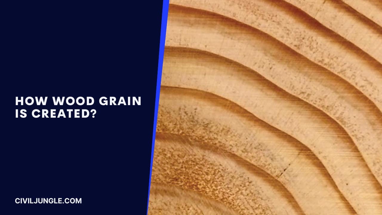 How Wood Grain Is Created?