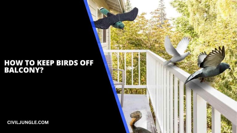 How to Keep Birds Off Balcony?