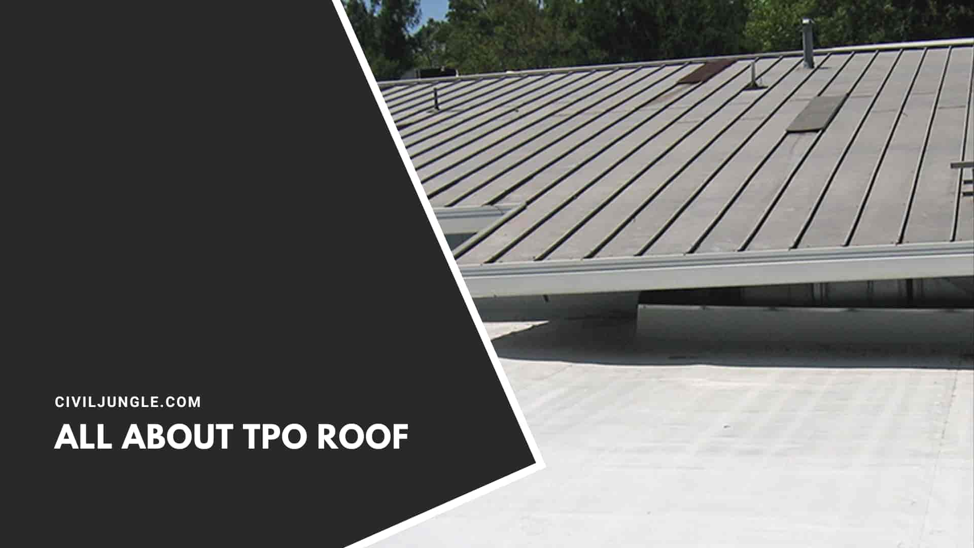 All About TPO Roof