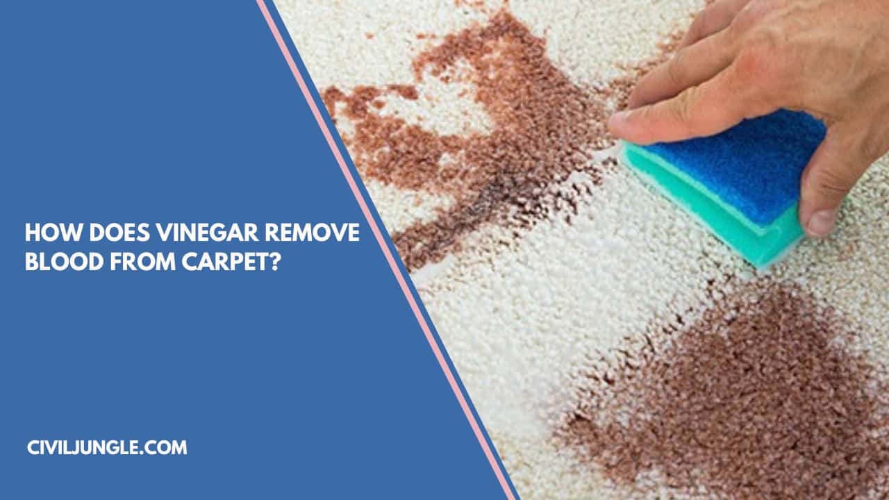 How Does Vinegar Remove Blood from Carpet?