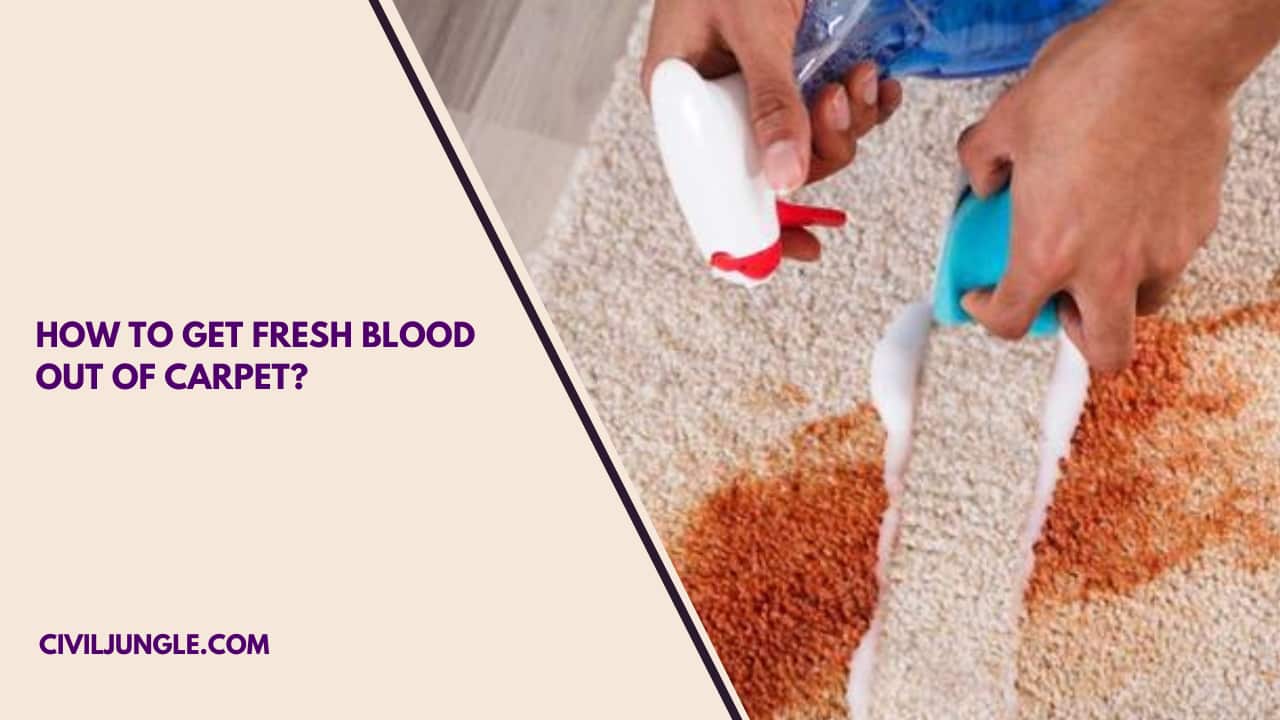 How to Get Fresh Blood Out of Carpet