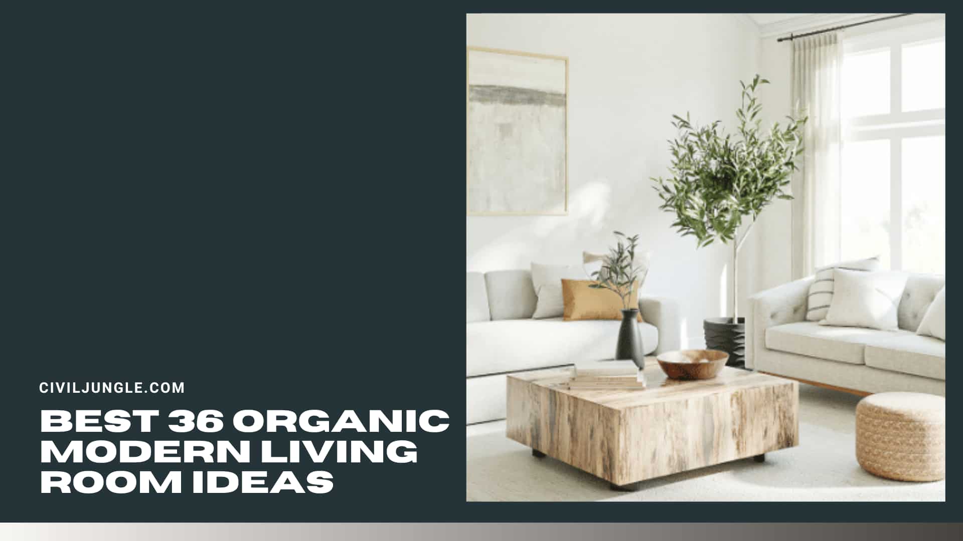 Best 36 Organic Modern Living Room Ideas