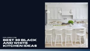 Best 30 Black and White Kitchen Ideas