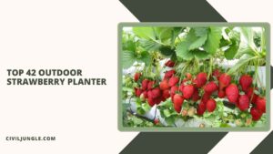 Top 42 Outdoor Strawberry Planter